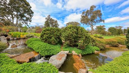 Japanese Garden - Cowra 